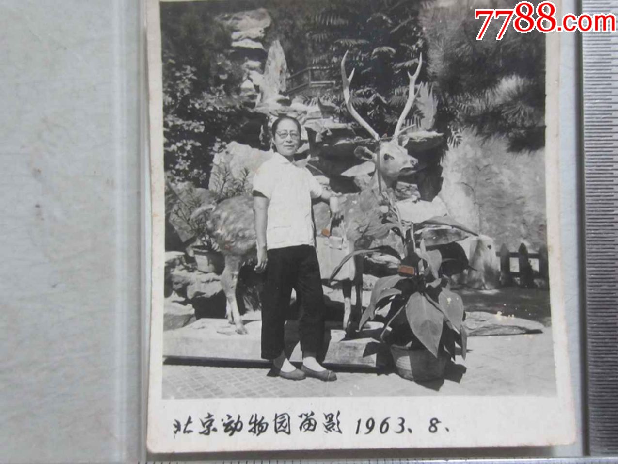 1963年,北京动物园留影(老照片)