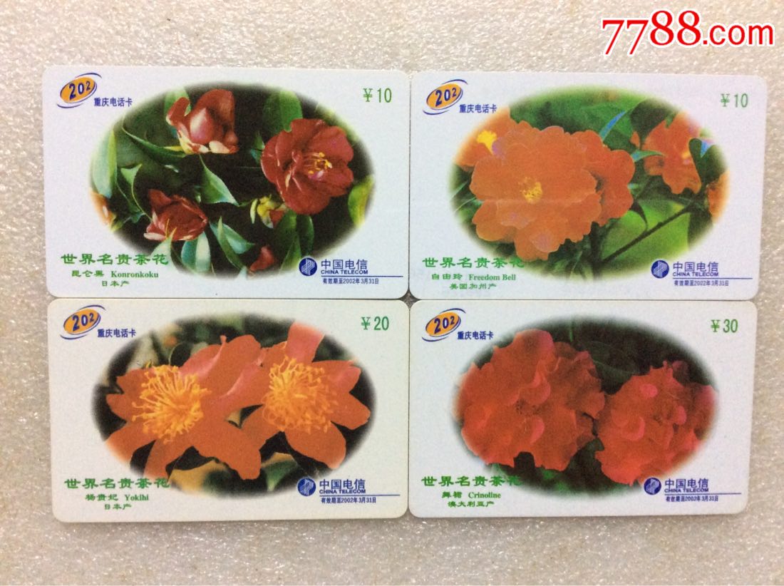 世界名贵茶花(全4枚)_ip卡/密码卡_七星收藏殿【7788