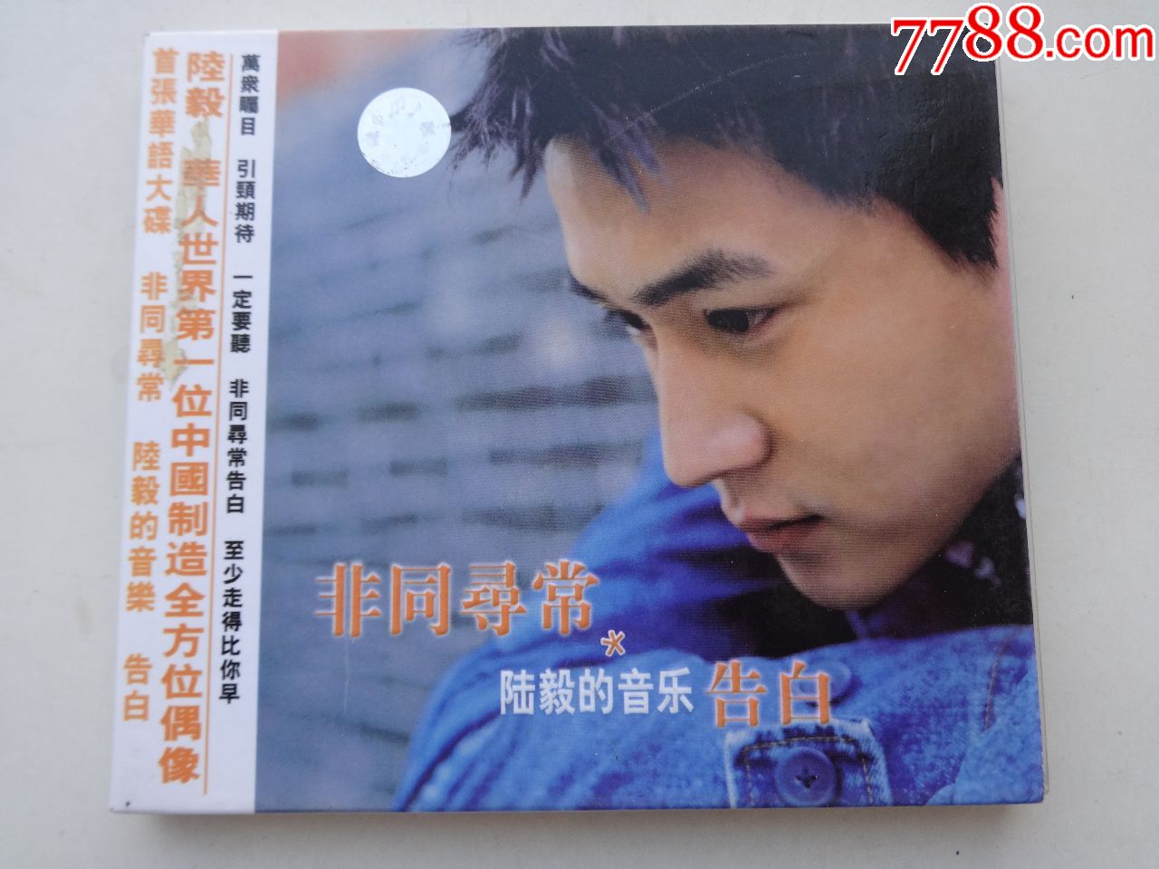 陆毅的音乐告白