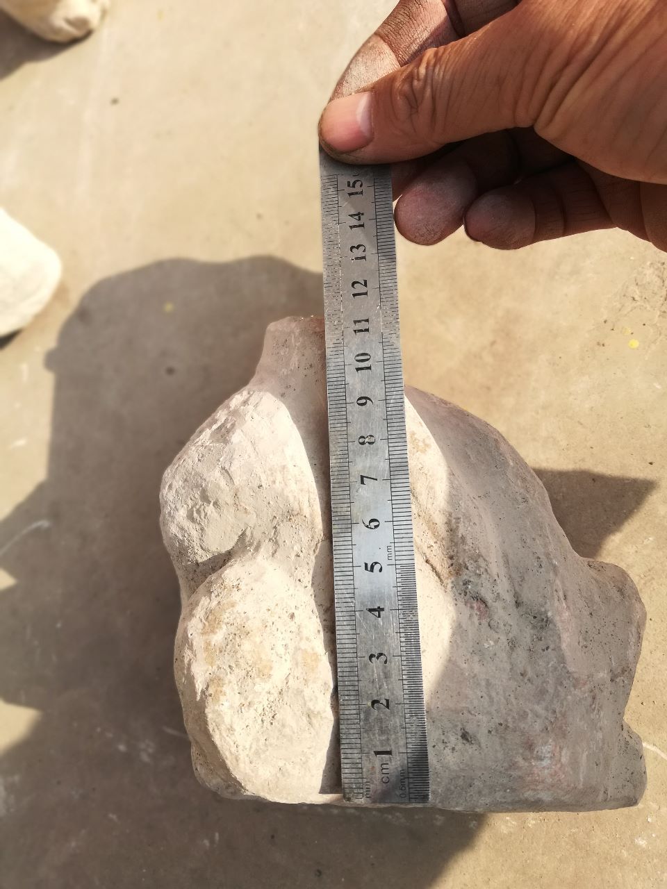 奇石;石猴一个15厘米*13厘米*12厘米