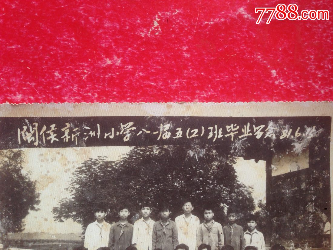 81年福建【闽侯新洲小学毕业】留影老照片