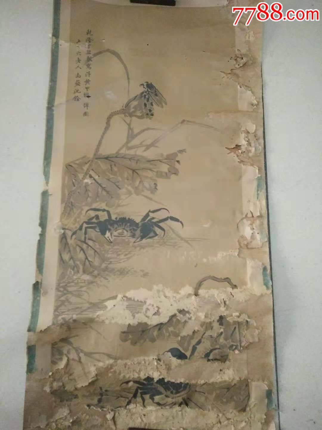 清代南苹沈铨合蛙花卉年画有残55*28cm