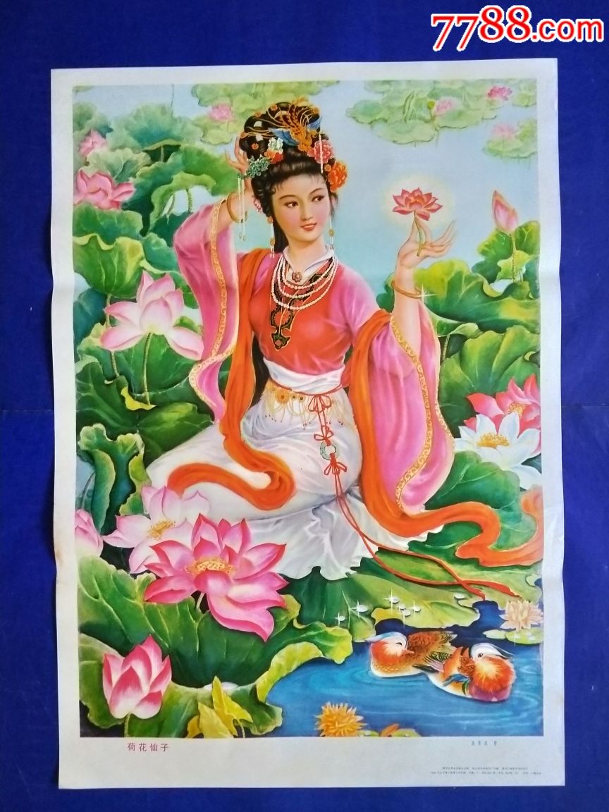 荷花仙子