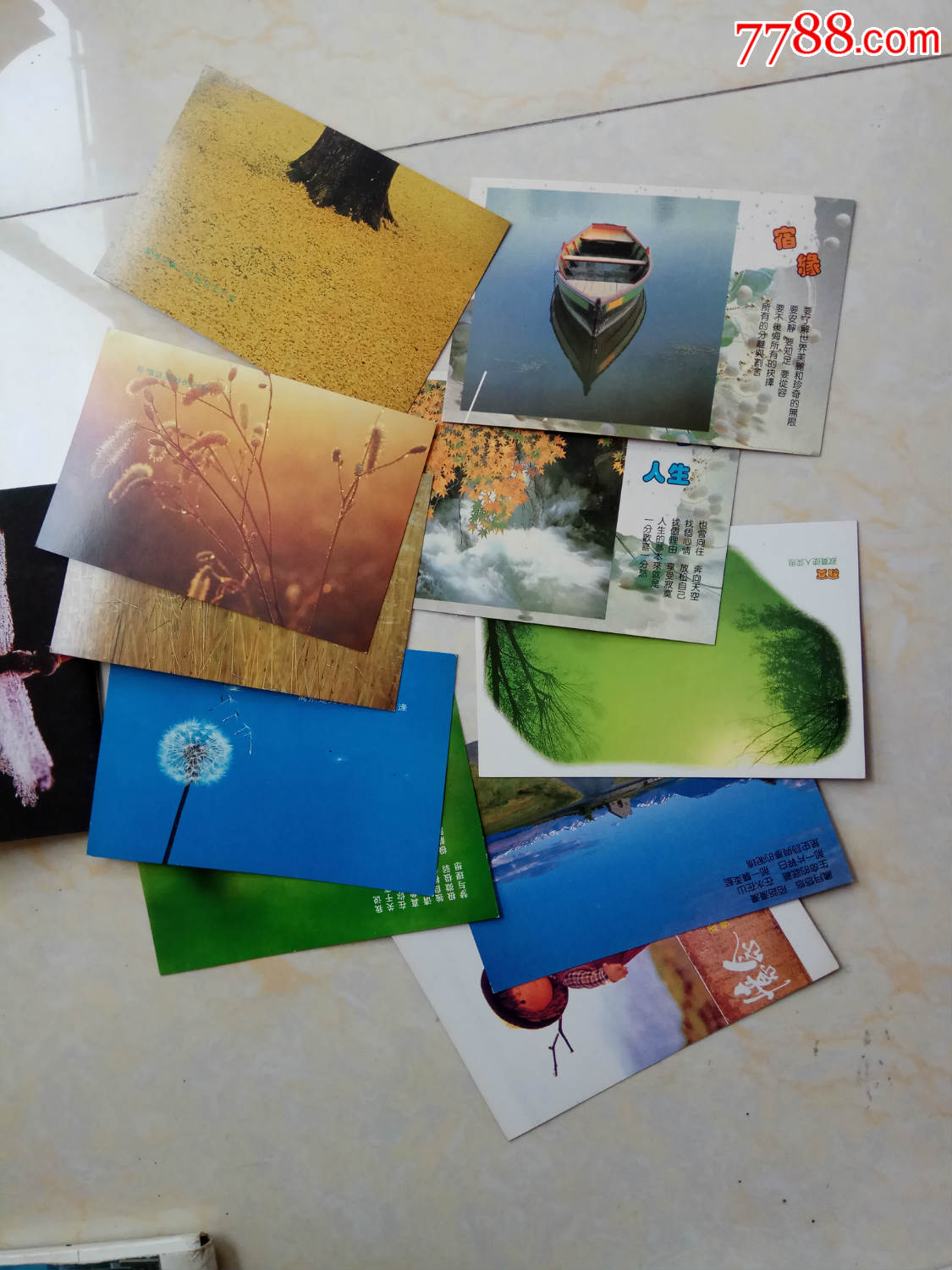 七里香席慕容诗画明信片(10枚杂片)