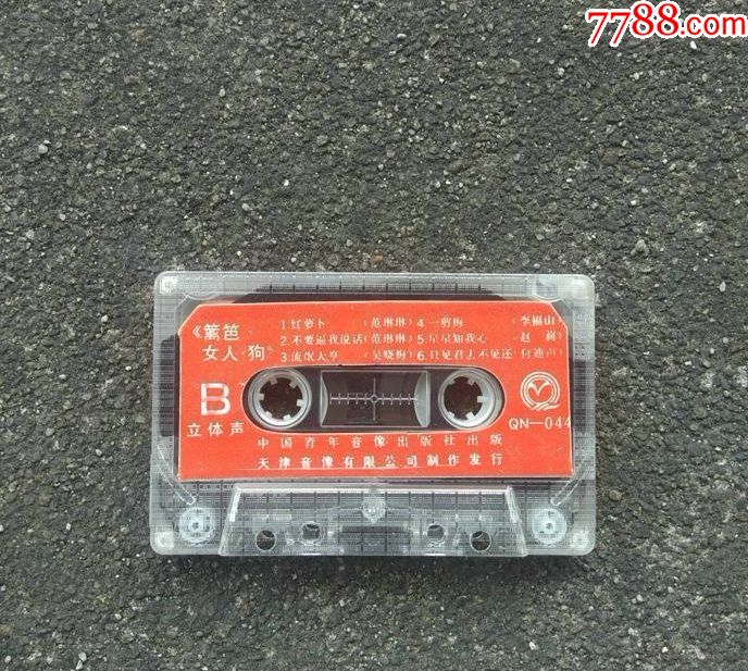 篱笆女人狗电视剧歌曲-磁带