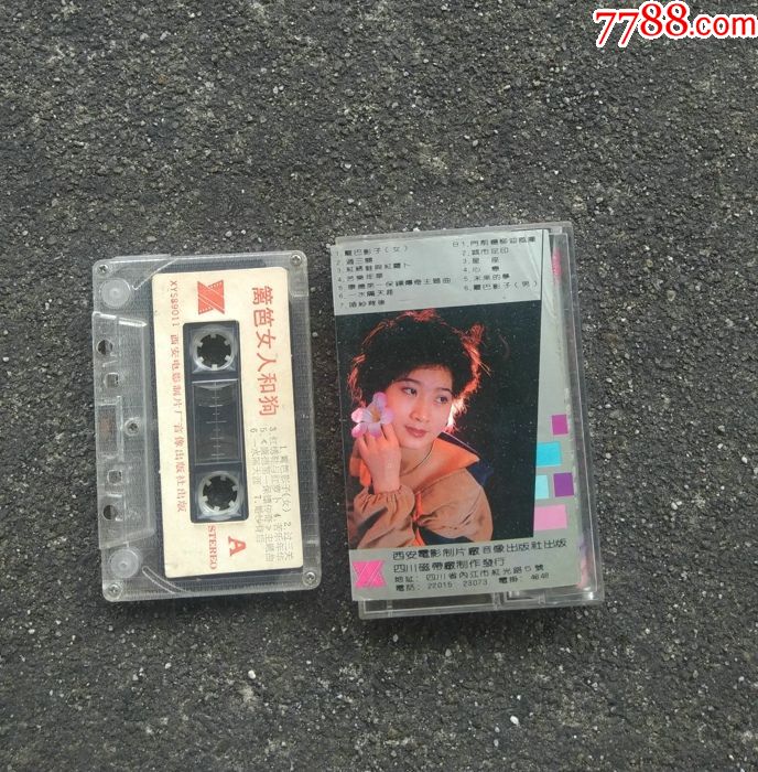 电视剧《篱笆女人和狗》歌曲磁带(范琳琳、胡