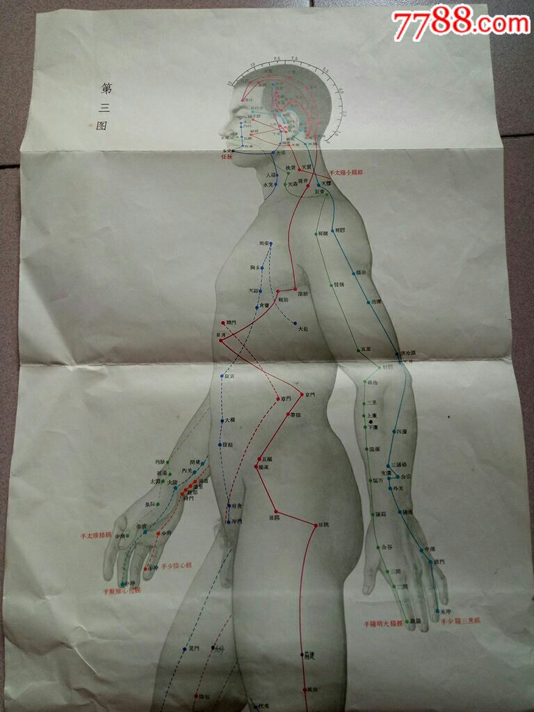 1969年北京中医院针灸经络挂图一套(三张)全