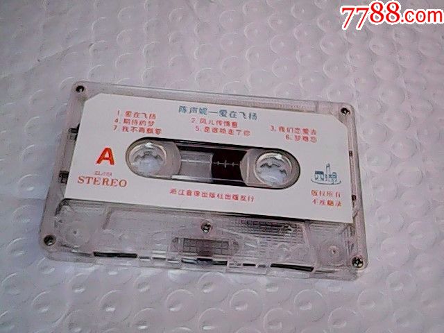 爱在飞扬(陈声妮歌集)