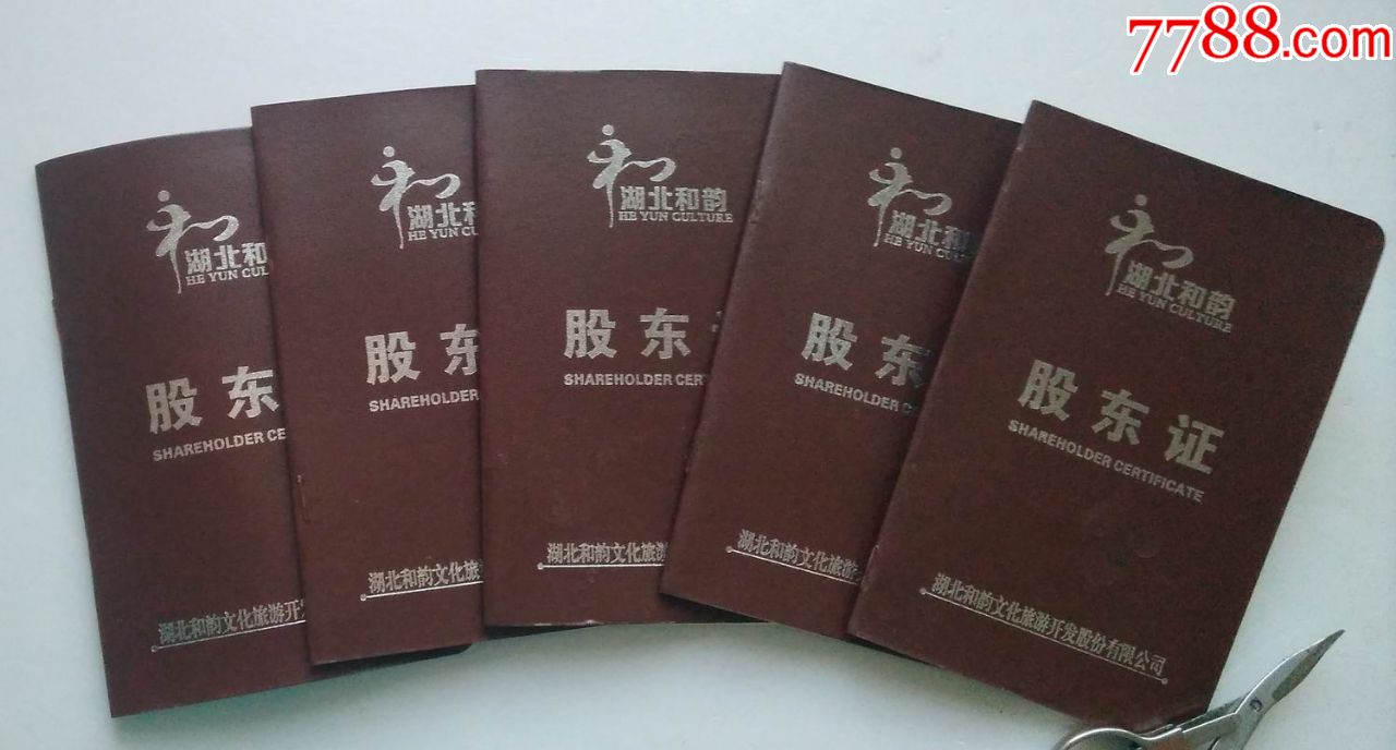 破产公司股东证-------湖北和韵公司股东证