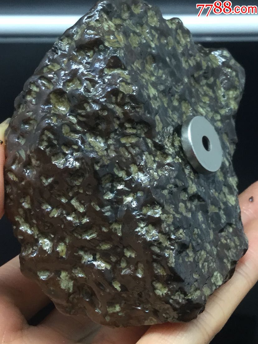 新疆罗布泊橄榄陨铁陨石