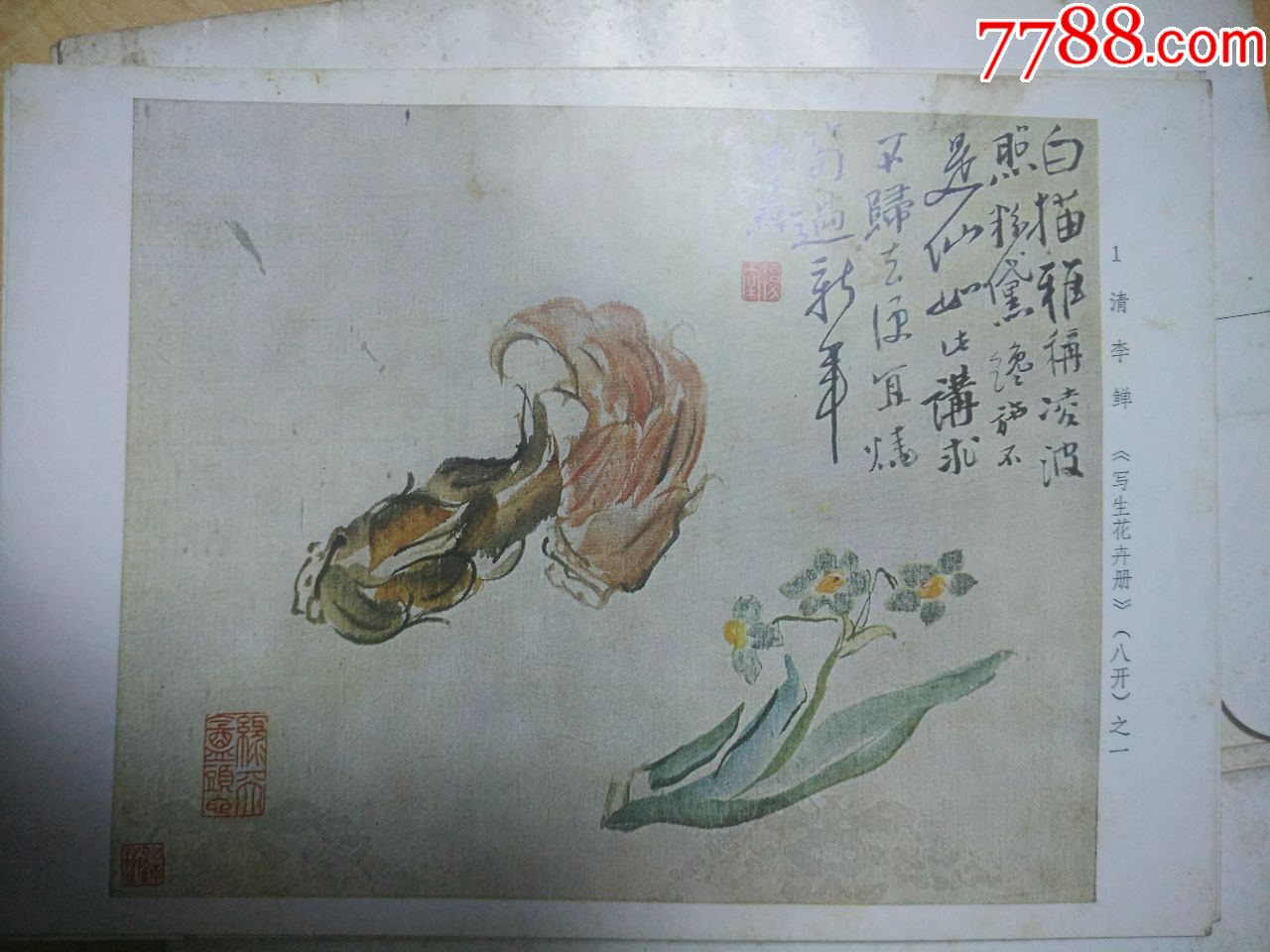 清李渔写生花卉册