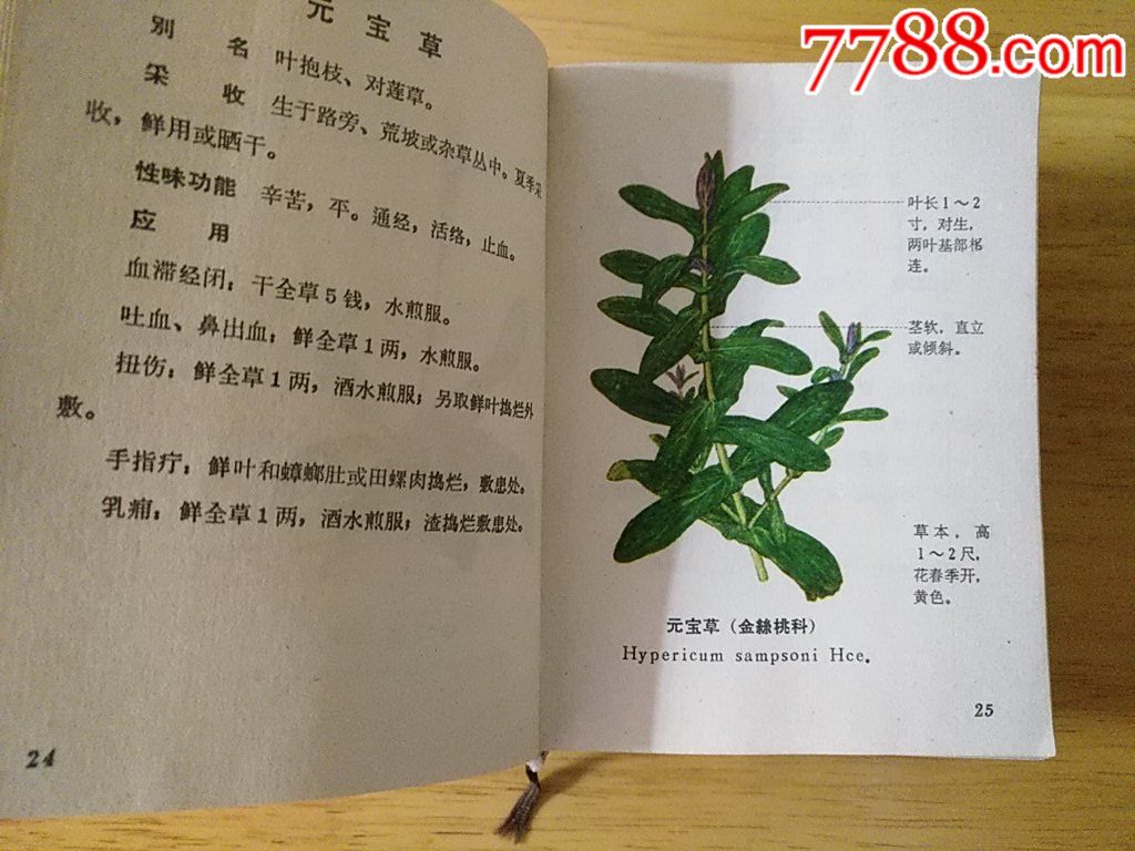 福建省中草药(第一册)_医书/药书【齐昌人家】_第6张_7788钟表收藏