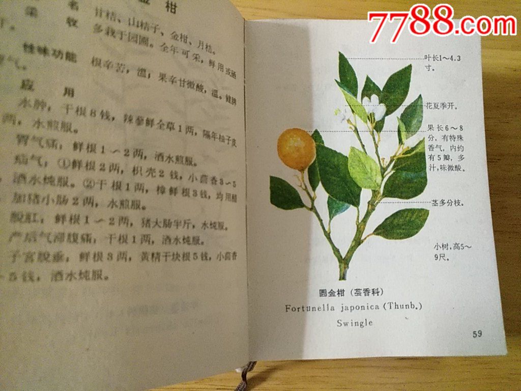 福建省中草药(第一册)_医书/药书【齐昌人家】_第7张_7788钟表收藏