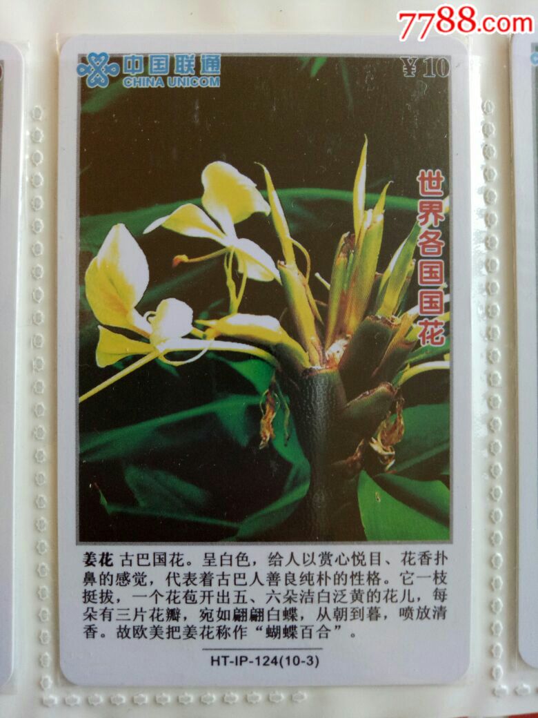 古巴国花-姜花_价格3.0100元_第1张_7788收藏__中国收藏热线