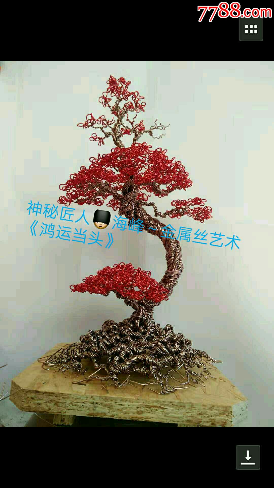 金属丝艺盆景发财树_植物编织工艺品_神秘匠人手工工作【7788收藏