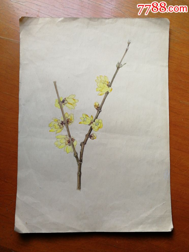 素描扇面水彩桃花画稿-素描/速写-7788书画网