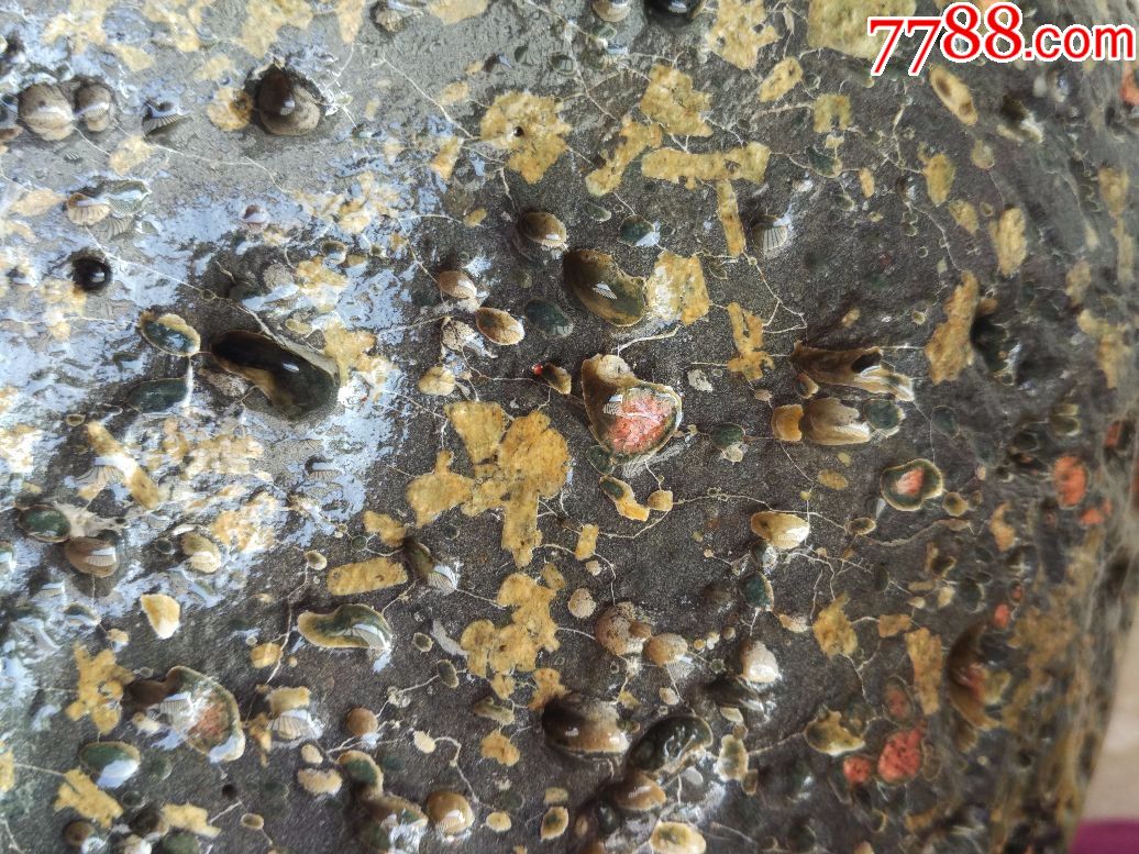 洛阳奇石583梅花玉原石“大美无声”