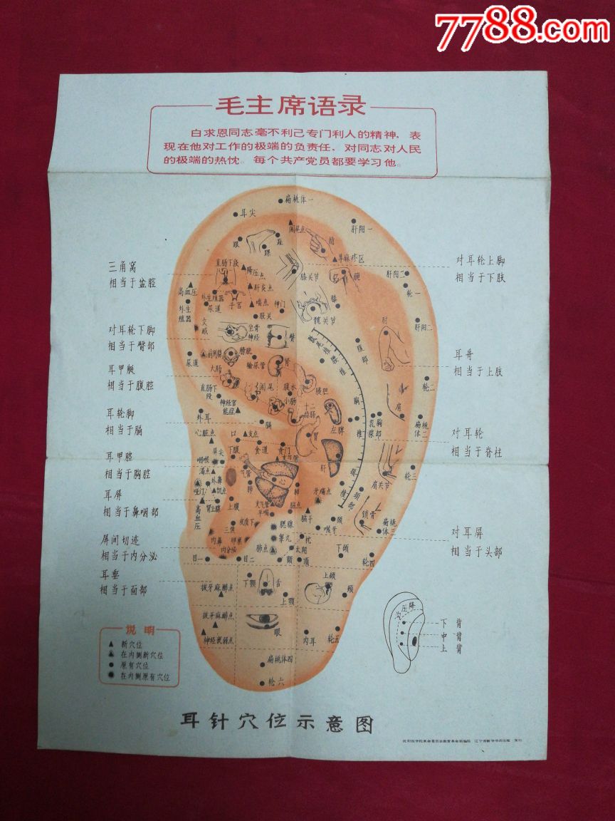 印有语录的沈阳医学院出耳针穴位示意图