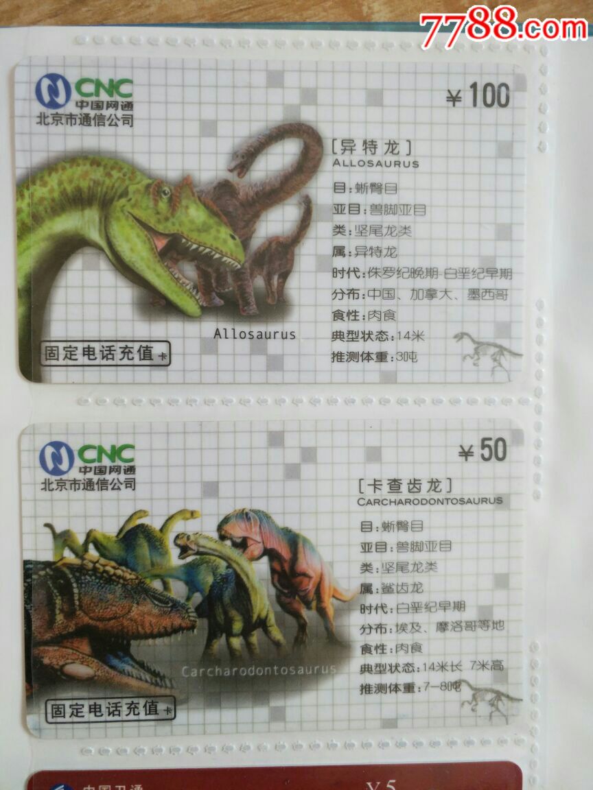 恐龙套卡