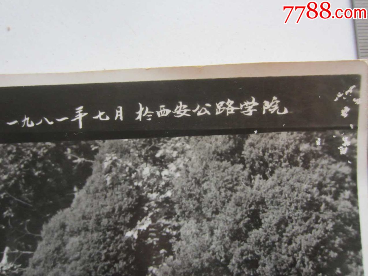 交通部第二期计划统计进修班结业留念,1981年於西安公路学院(老照片)