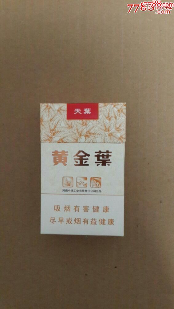 黄金叶天叶