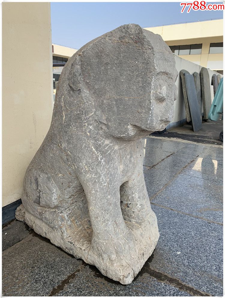 清代老石雕-青石虎,一只88/66/30厘米bz-1438
