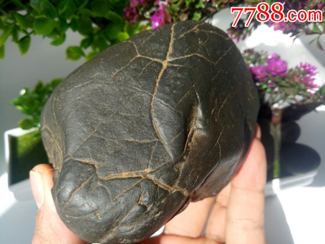 火星石铁陨石(弱磁)