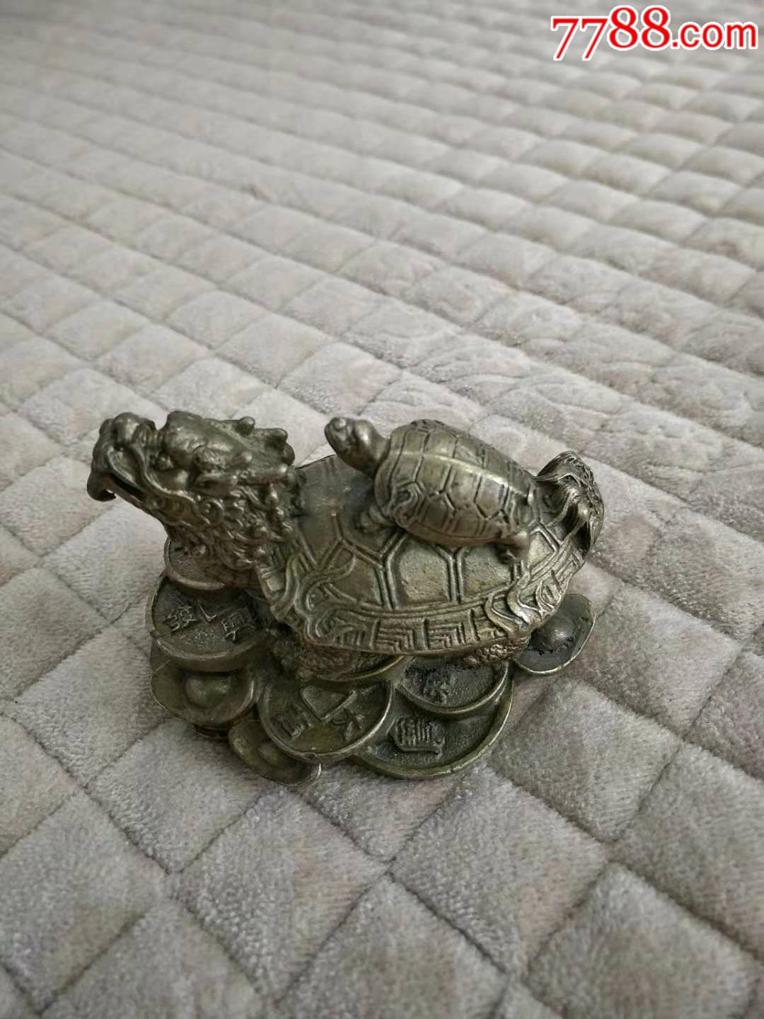 铜龙头龟
