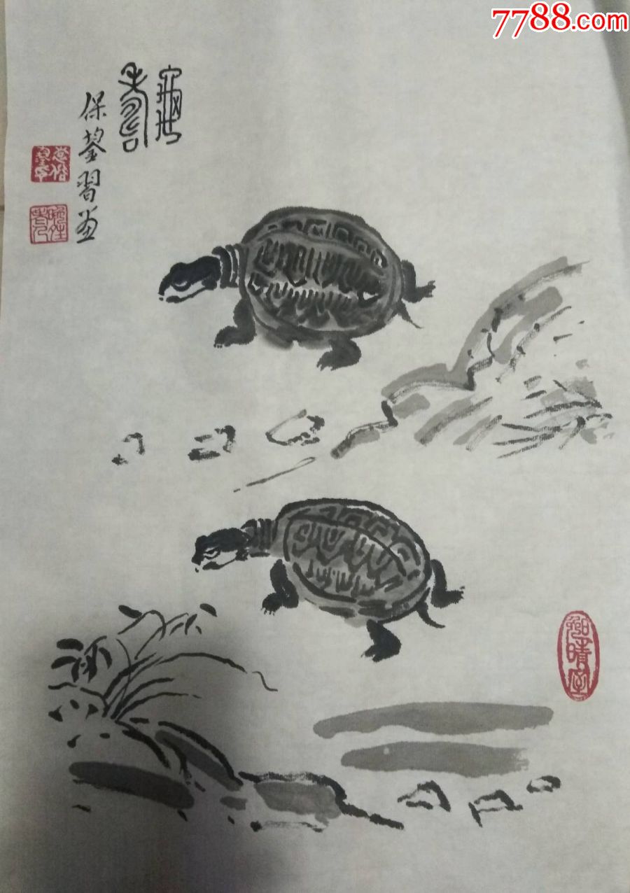 著名学者袁保鋆老先生画《龟寿图-花鸟国画原作-7788收藏