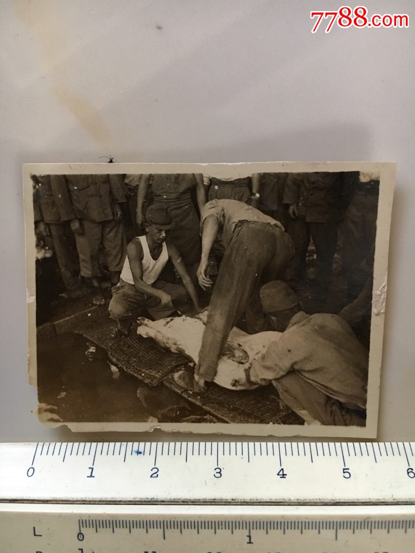 民国侵华日军老照片:日本兵杀猪
