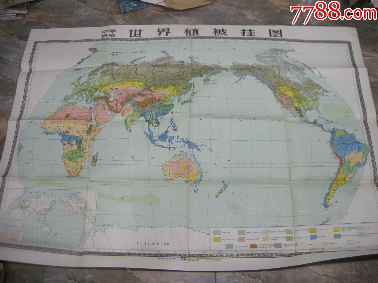 50年代地图挂图1950年代版世界植被挂图