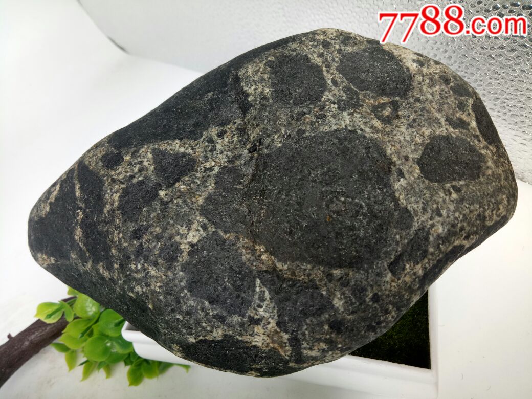 蛇纹石铁陨石(强磁)