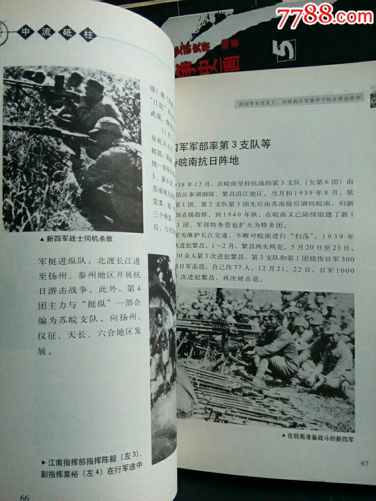 中国抗日战争史画.图文并茂1931_1945年