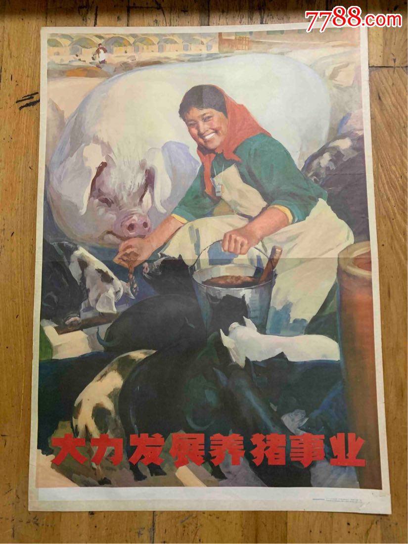 古董古玩收藏真品红色收藏文革宣传画大力发展养猪事业
