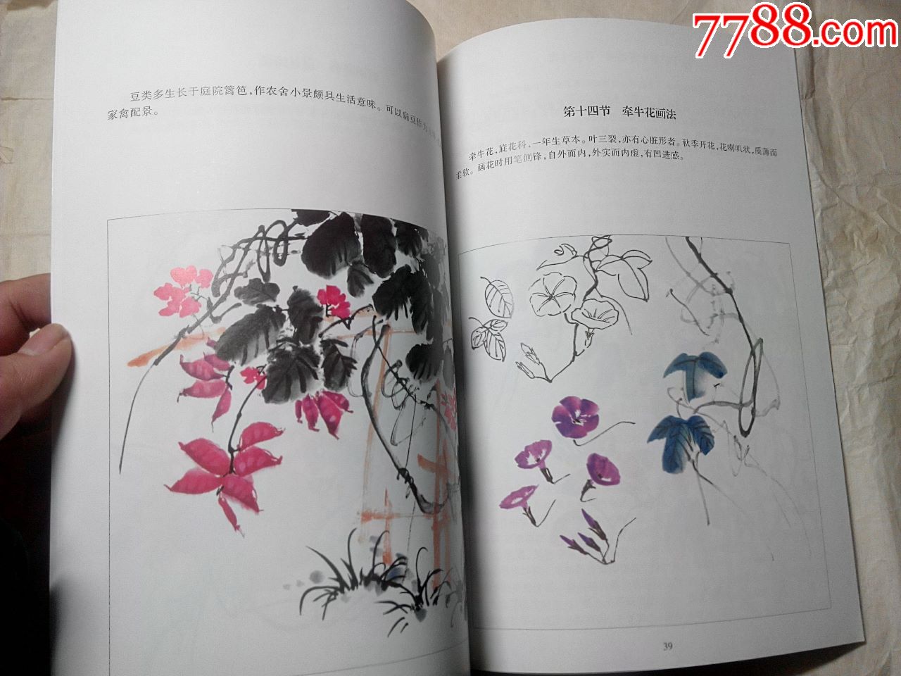 画藤蔓要诀-国画画册-7788画册网