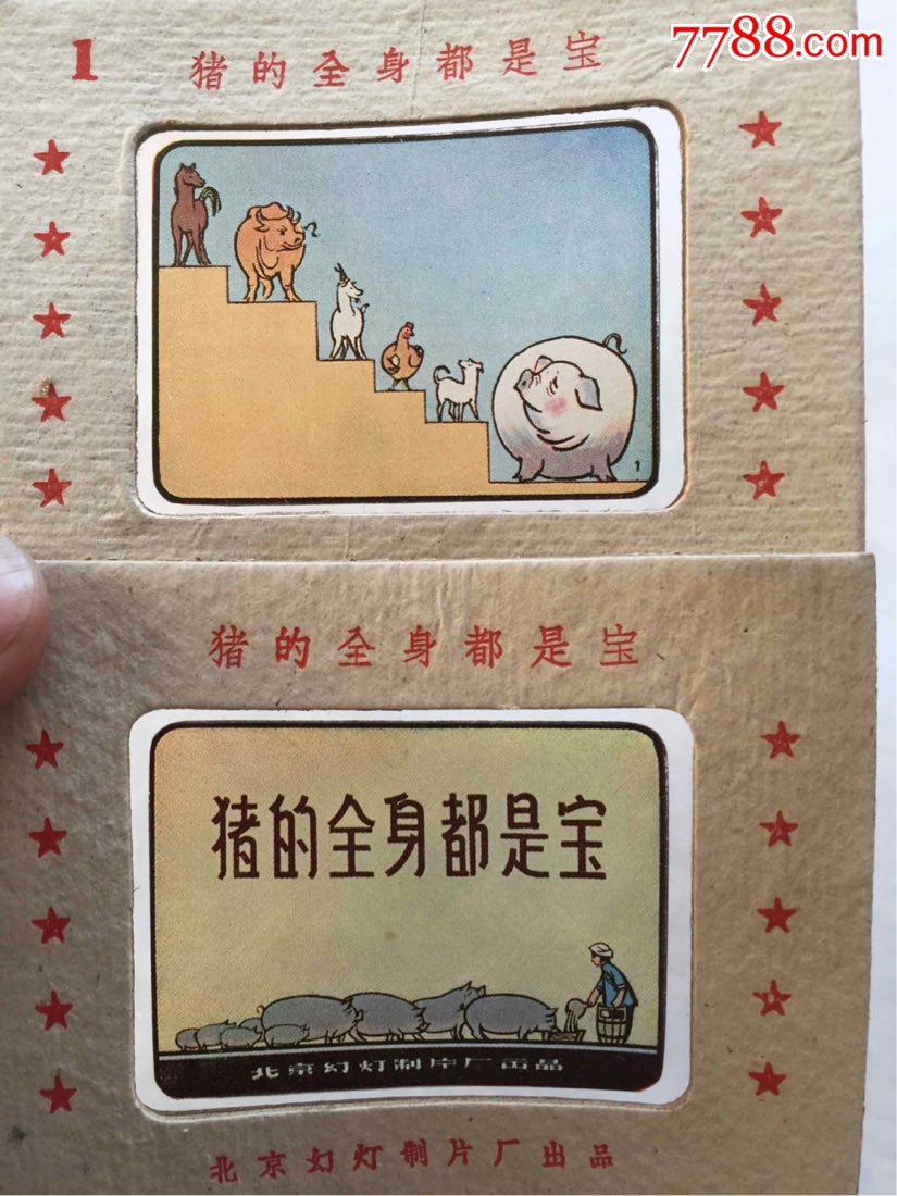 猪的浑身都是宝