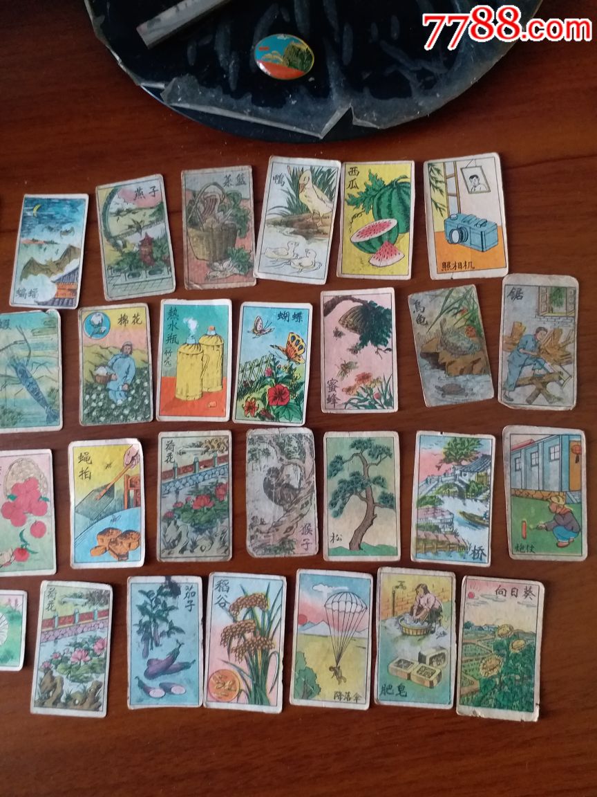 小画片(27张)请仔细看图