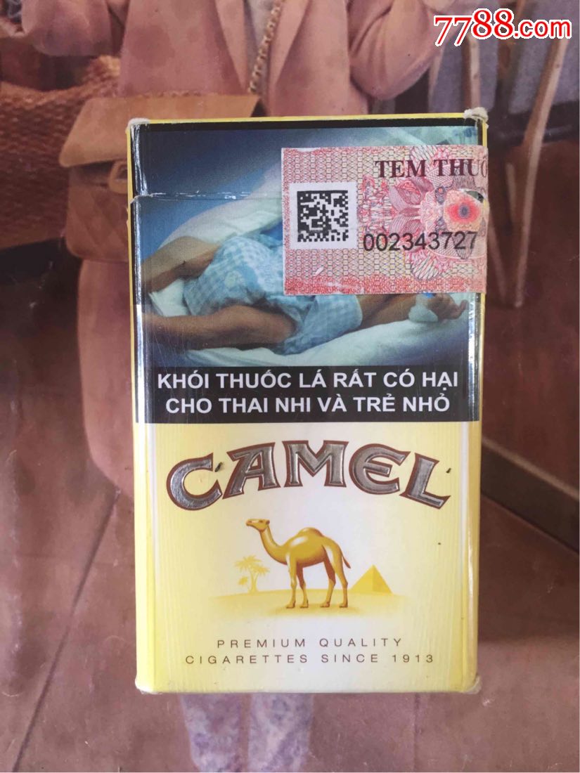 海外骆驼(越南)
