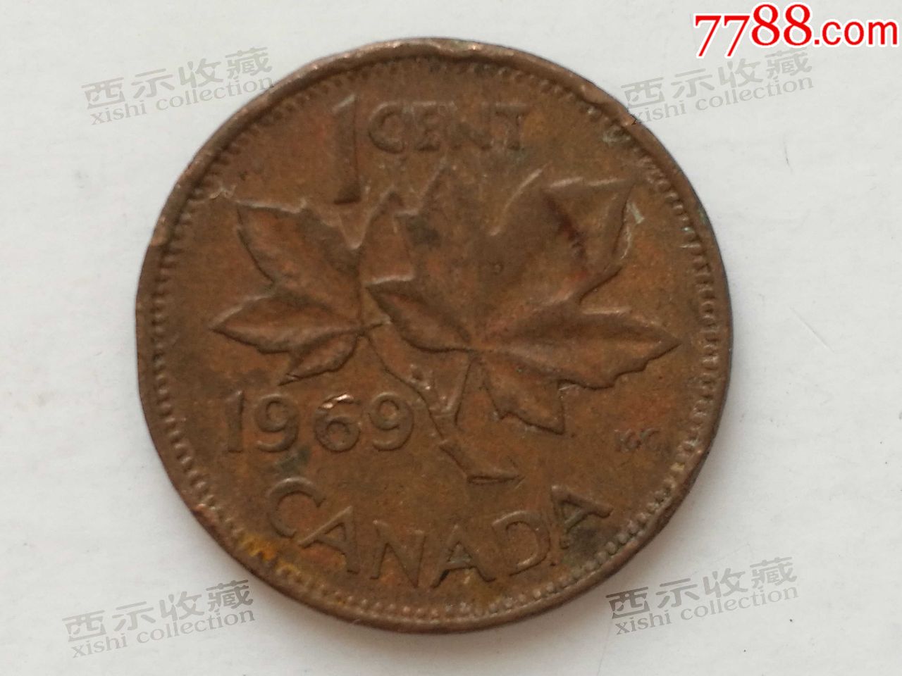 1969年加拿大枫叶1分铜币永久包真1cent