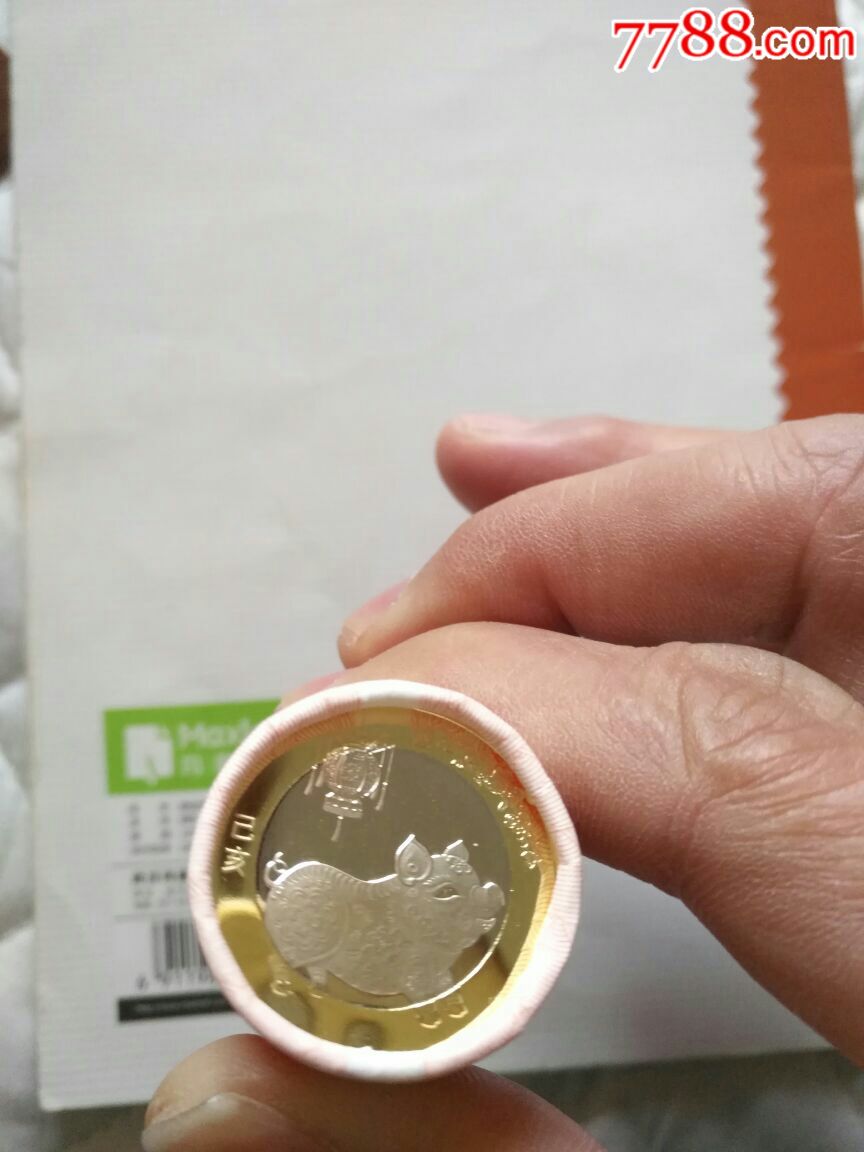 2019年猪年纪念币一卷