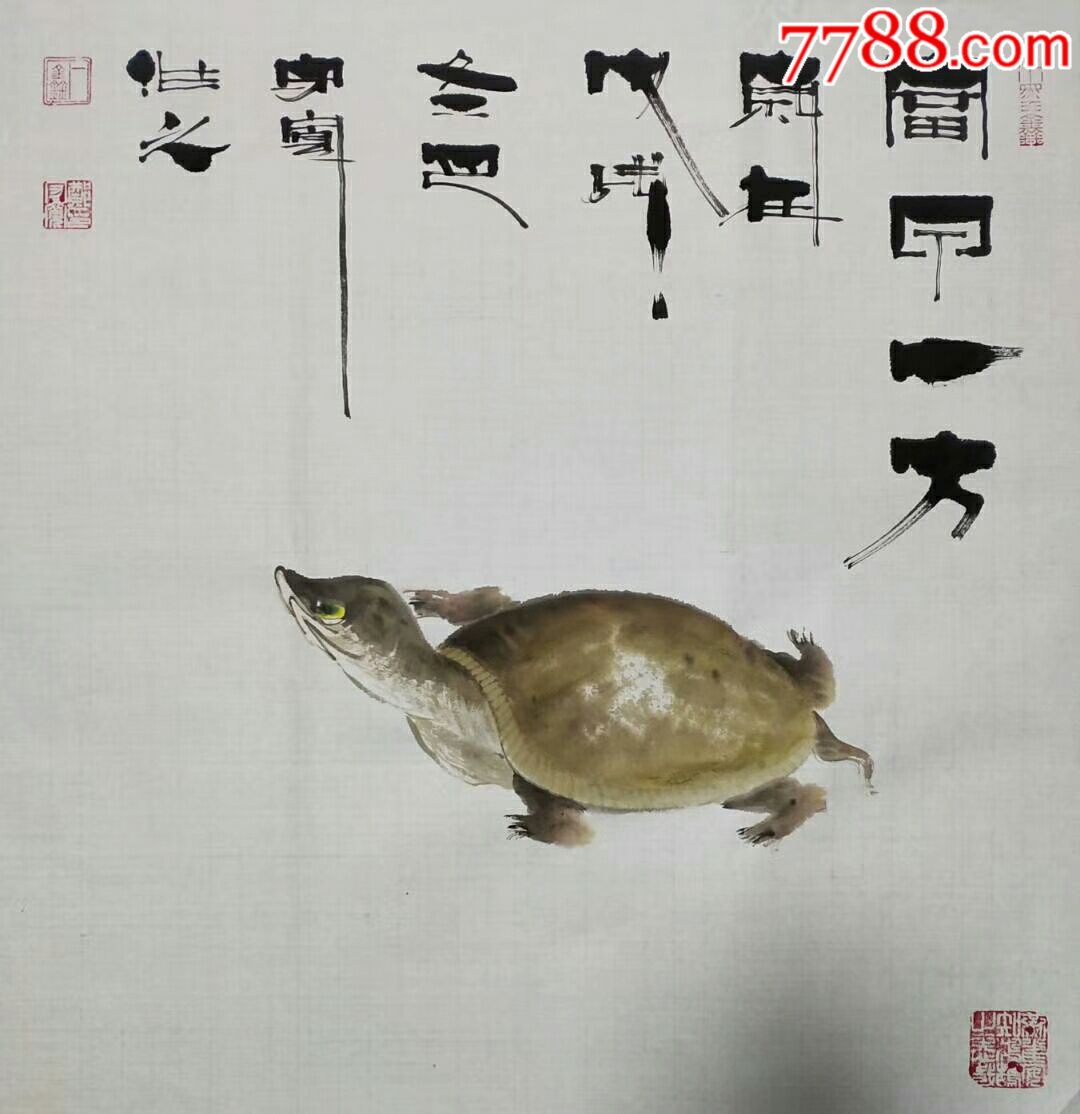 书画名家郑守宽甲鱼小写意国画中国写意画鱼王