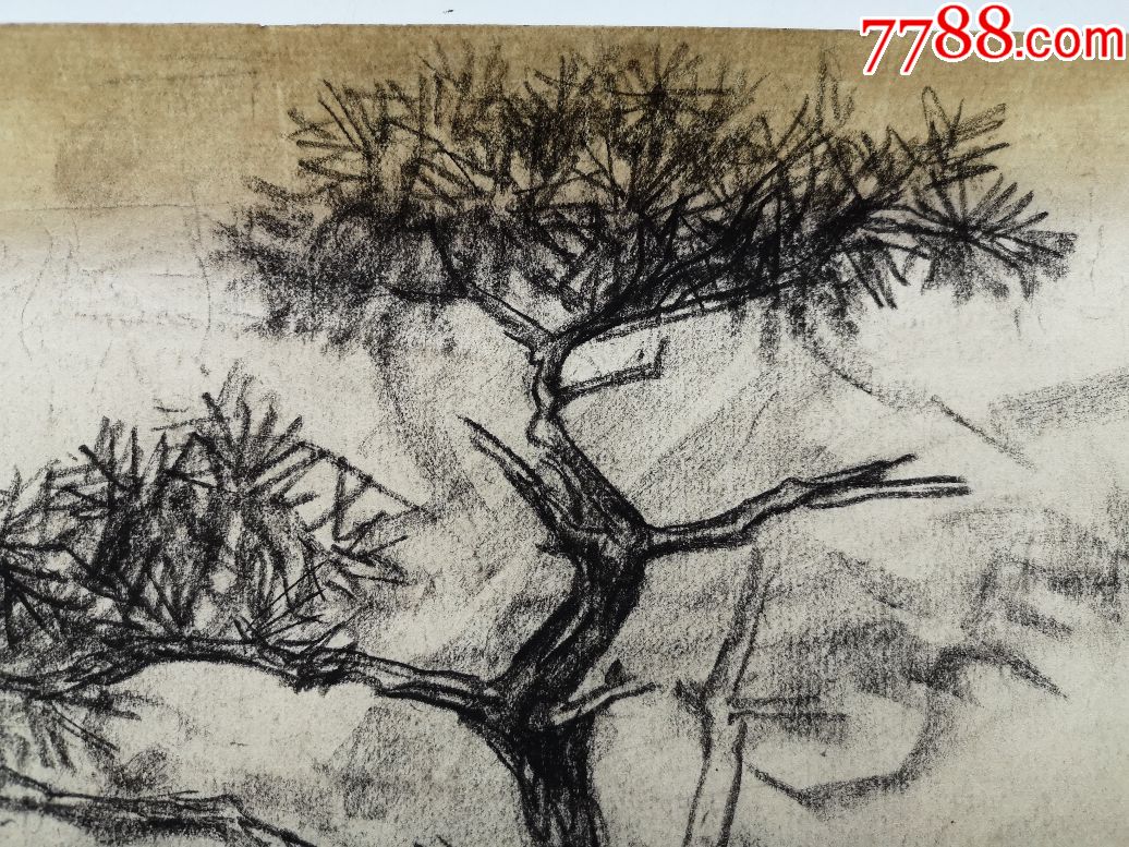 曹小平作品80-90年代速写画稿原稿《松树》