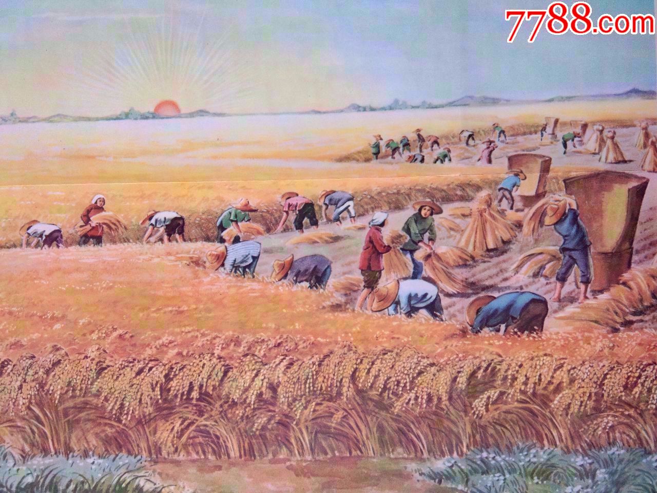 六十年代挂图《秋天的庄稼》_第2张_7788书画网