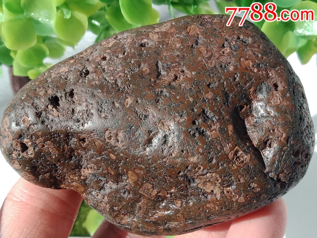 铜辉陨石(弱磁)