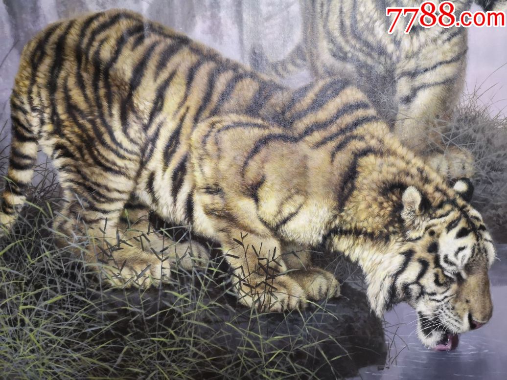 朝鲜画家朴光林虎2019年169x122cm