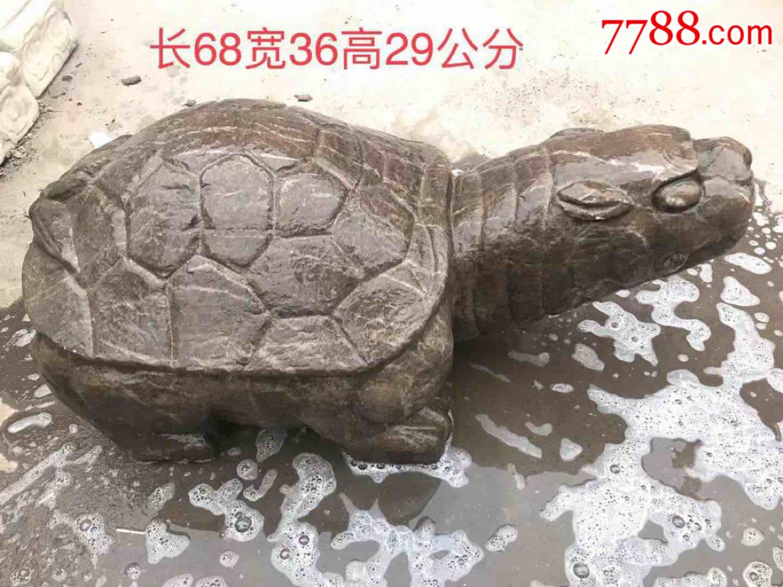 老石龟,保存完好品相一流.
