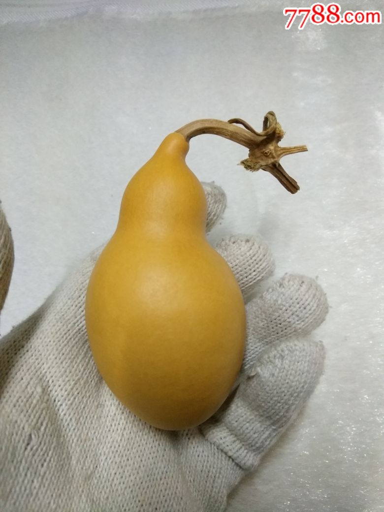 天然胖蚂蚁肚葫芦文玩葫芦