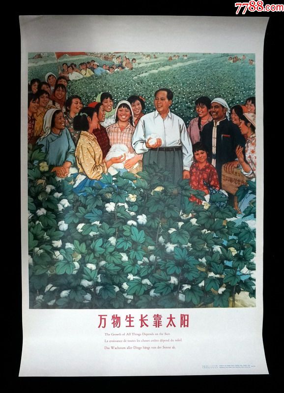 万物生长靠太阳上海人民出版社对外发行版印制精美库存全品
