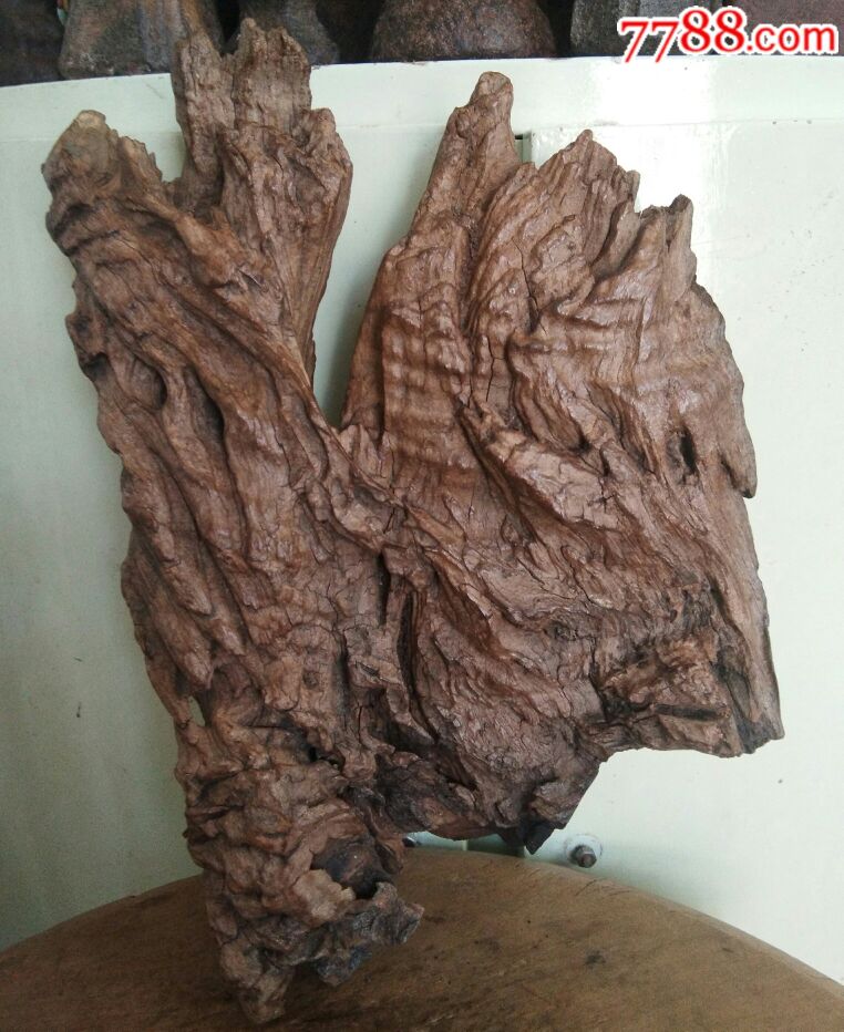 老朽木一块