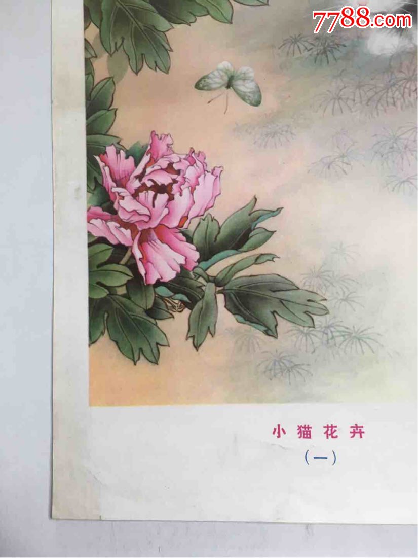 年画——小猫花卉【西安老报馆】_第5张_7788收藏__收藏热线